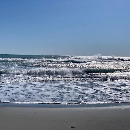 River Park アメーリア