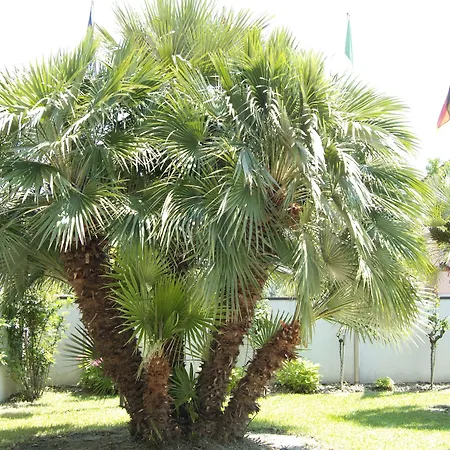 River Park ホテル